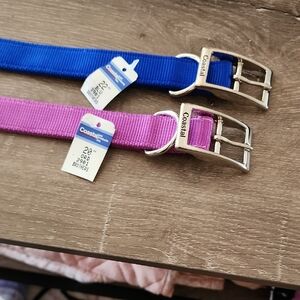 Coastal Pet Blue and Pink Dog Collars